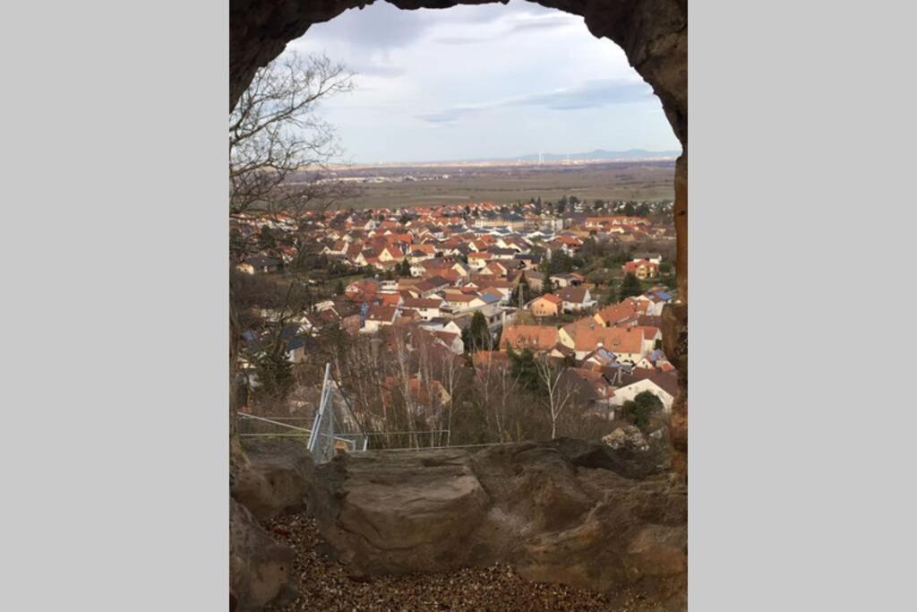 Wunderschoene Wohnung Mit Blick Auf Die Weinberge Neustadt an der Weinstraße Exterior foto