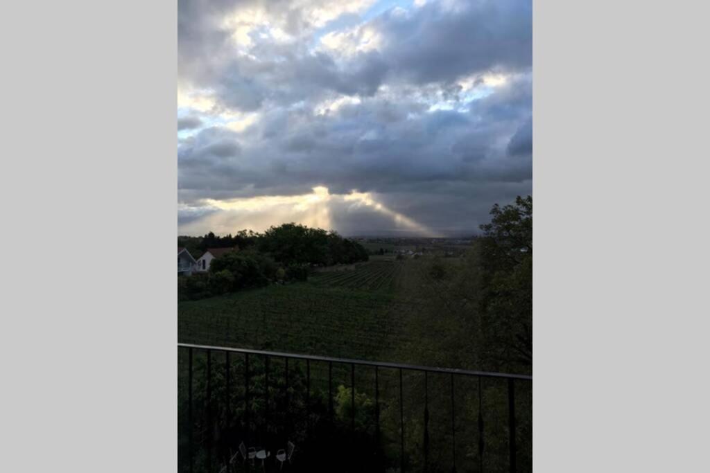 Wunderschoene Wohnung Mit Blick Auf Die Weinberge Neustadt an der Weinstraße Exterior foto