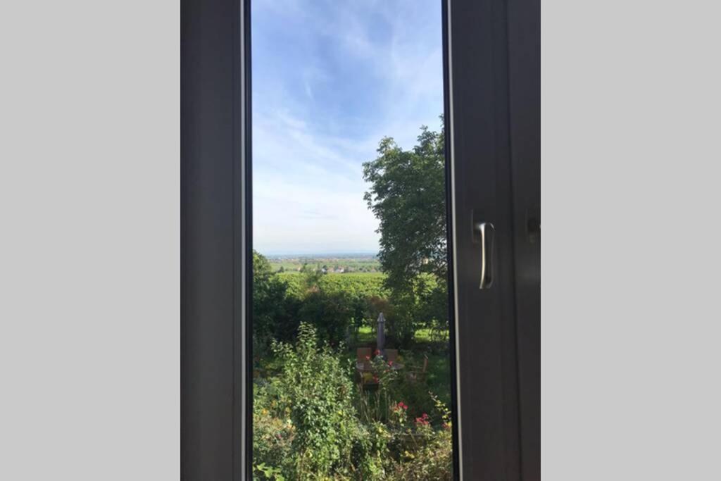 Wunderschoene Wohnung Mit Blick Auf Die Weinberge Neustadt an der Weinstraße Exterior foto